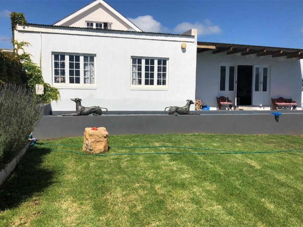 De La Fontaine Sea View Suite Plettenberg Bay Dış mekan fotoğraf